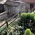 Buying a House to Renovate in France